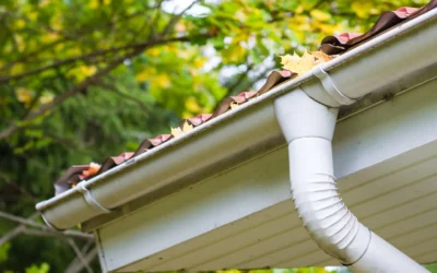 Why Is It Important To Get Your Gutters Cleared?