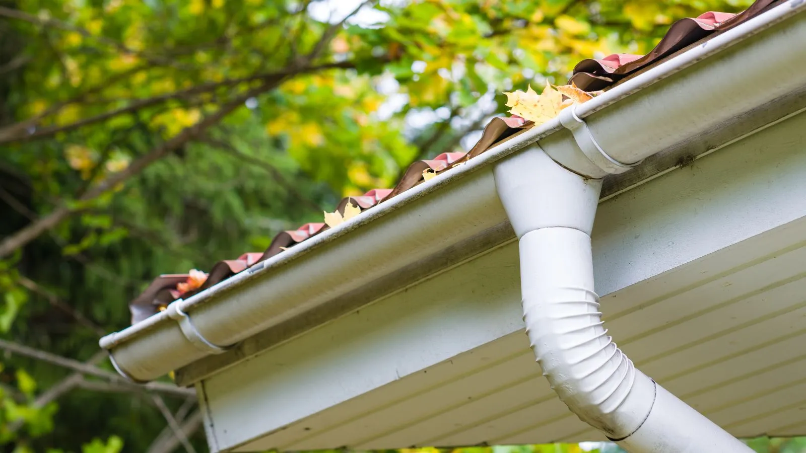 Blocked Gutters Why Is It Important To Clear Your Gutters