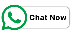 WhatsApp Green Team